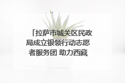 拉萨市城关区民政局成立银领行动志愿者服务团 助力西藏银发经济发展