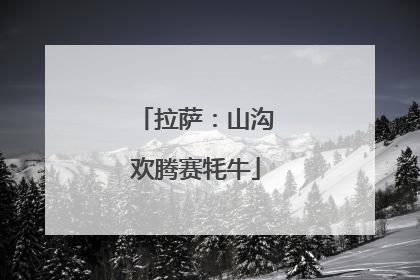 拉萨：山沟欢腾赛牦牛