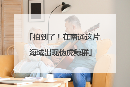 拍到了！在南通这片海域出现伪虎鲸群