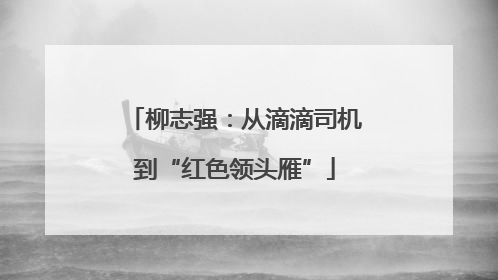 柳志强：从滴滴司机到“红色领头雁”