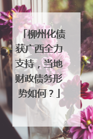 柳州化债获广西全力支持，当地财政债务形势如何？