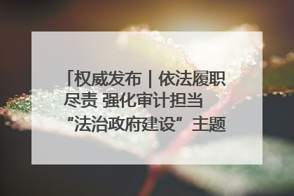 权威发布｜依法履职尽责 强化审计担当 “法治政府建设”主题系列新闻发布会市审计局专场召开
