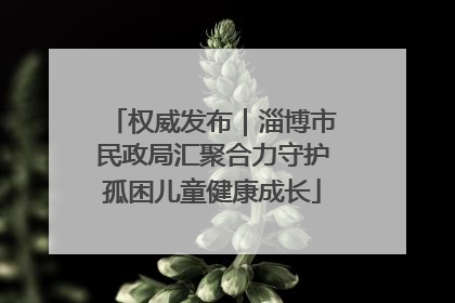 权威发布｜淄博市民政局汇聚合力守护孤困儿童健康成长