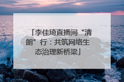 李佳琦直播间“清朗”行：共筑网络生态治理新桥梁