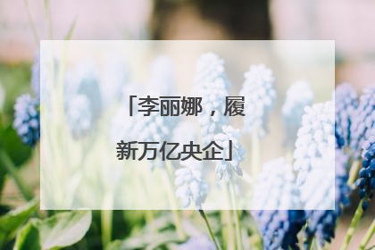 李丽娜，履新万亿央企