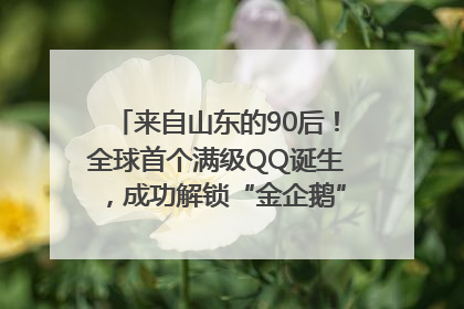 来自山东的90后！全球首个满级QQ诞生，成功解锁“金企鹅”，是继承父亲账号