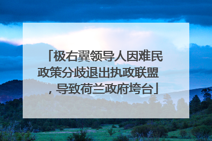 极右翼领导人因难民政策分歧退出执政联盟，导致荷兰政府垮台