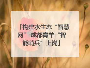 构建水生态“智慧网” 成都青羊“智能哨兵”上岗