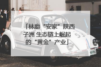 林麝“安家”陕西子洲 生态链上崛起的“黄金”产业