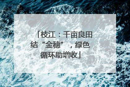 枝江：千亩良田结“金穗”，绿色循环助增收