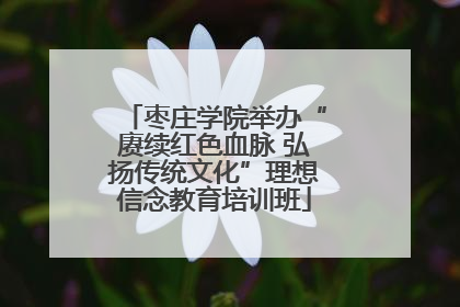 枣庄学院举办“赓续红色血脉 弘扬传统文化”理想信念教育培训班