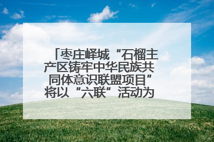 枣庄峄城“石榴主产区铸牢中华民族共同体意识联盟项目”将以“六联”活动为抓手深化品牌建设