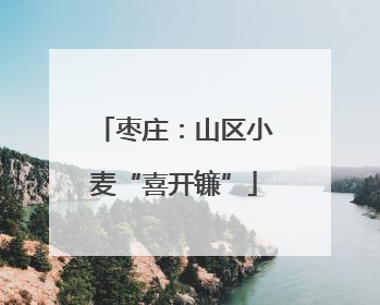 枣庄：山区小麦“喜开镰”