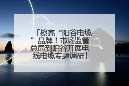 擦亮“阳谷电缆”品牌！市场监管总局到阳谷开展电线电缆专题调研