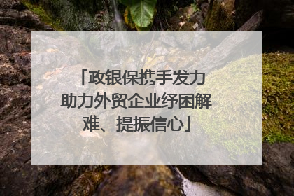 政银保携手发力 助力外贸企业纾困解难、提振信心