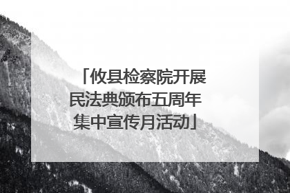 攸县检察院开展民法典颁布五周年集中宣传月活动