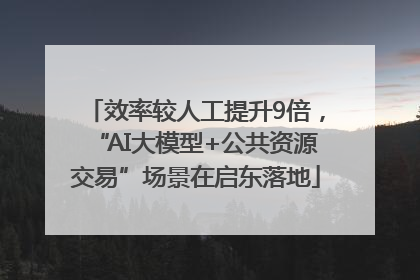 效率较人工提升9倍，“AI大模型+公共资源交易”场景在启东落地