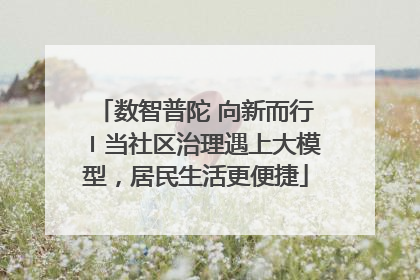 数智普陀 向新而行〡当社区治理遇上大模型，居民生活更便捷