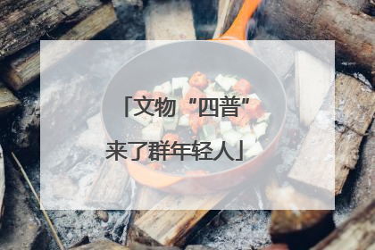 文物“四普”来了群年轻人