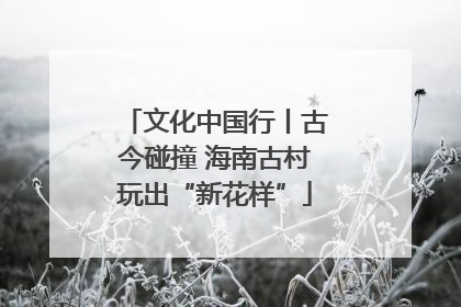 文化中国行丨古今碰撞 海南古村玩出“新花样”