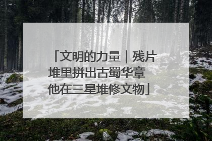 文明的力量｜残片堆里拼出古蜀华章 他在三星堆修文物