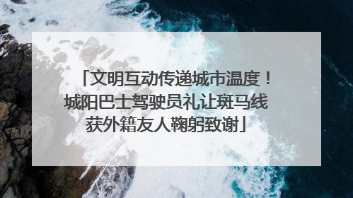 文明互动传递城市温度！城阳巴士驾驶员礼让斑马线获外籍友人鞠躬致谢