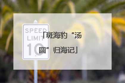 斑海豹“汤圆”归海记
