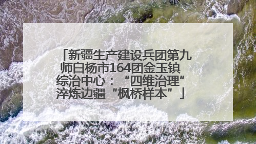 新疆生产建设兵团第九师白杨市164团金玉镇综治中心：“四维治理”淬炼边疆“枫桥样本”