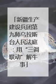 新疆生产建设兵团第九师乌拉斯台人民法庭：用“三调联动”解牛事