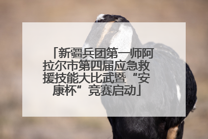 新疆兵团第一师阿拉尔市第四届应急救援技能大比武暨“安康杯”竞赛启动