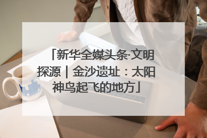 新华全媒头条·文明探源｜金沙遗址：太阳神鸟起飞的地方
