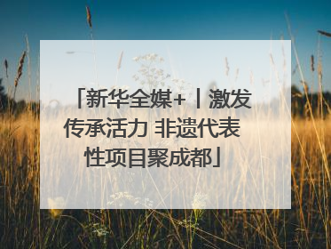 新华全媒+丨激发传承活力 非遗代表性项目聚成都
