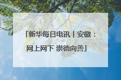 新华每日电讯丨安徽：网上网下 崇德向善