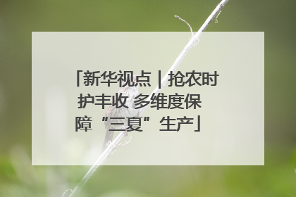 新华视点｜抢农时 护丰收 多维度保障“三夏”生产