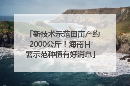新技术示范田亩产约2000公斤！海南甘薯示范种植有好消息