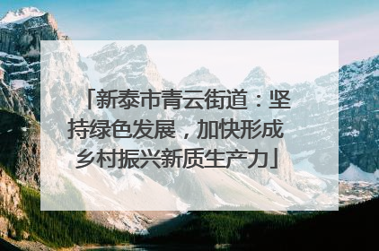 新泰市青云街道：坚持绿色发展，加快形成乡村振兴新质生产力