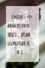 时评：中越旅客列车重启，跨越山海共赴未来