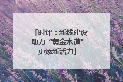 时评：新线建设助力“黄金水道”更添新活力