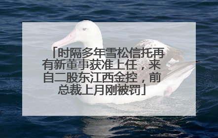 时隔多年雪松信托再有新董事获准上任，来自二股东江西金控，前总裁上月刚被罚