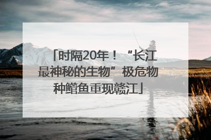 时隔20年！“长江最神秘的生物”极危物种鳤鱼重现赣江