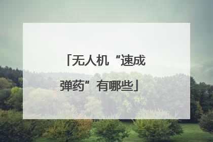 无人机“速成弹药”有哪些