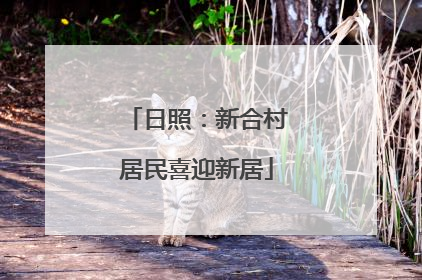 日照：新合村居民喜迎新居