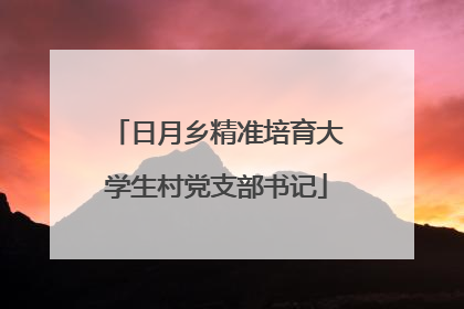 日月乡精准培育大学生村党支部书记