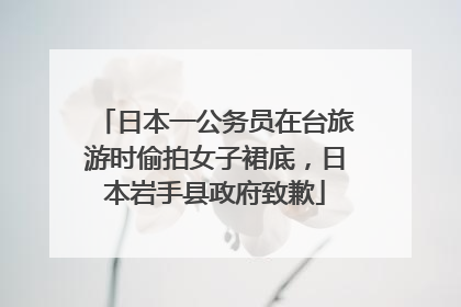 日本一公务员在台旅游时偷拍女子裙底，日本岩手县政府致歉