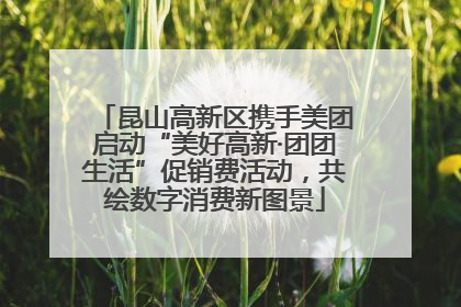 昆山高新区携手美团启动“美好高新·团团生活”促销费活动，共绘数字消费新图景