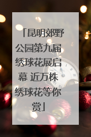 昆明郊野公园第九届绣球花展启幕 近万株绣球花等你赏