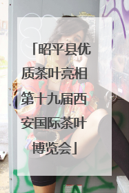 昭平县优质茶叶亮相第十九届西安国际茶叶博览会