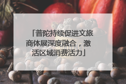 普陀持续促进文旅商体展深度融合，激活区域消费活力