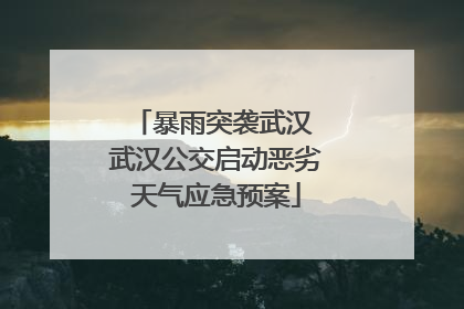 暴雨突袭武汉 武汉公交启动恶劣天气应急预案