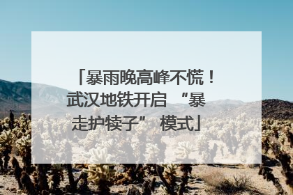 暴雨晚高峰不慌！武汉地铁开启 “暴走护犊子” 模式